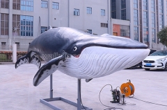 Aquarium Displays Animatronic Blue Whale