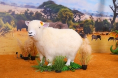 Animatronic Animal Sheep