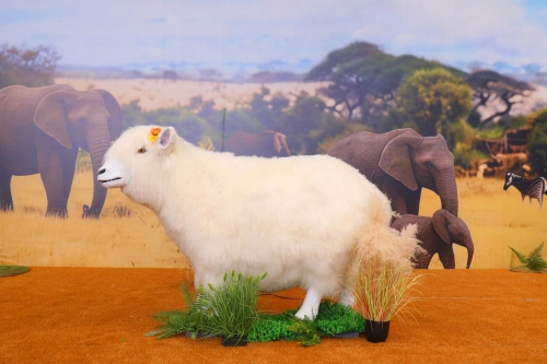 Animatronic Animal Sheep