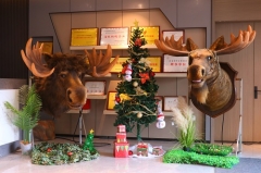 Animatronic Moose Head with Realistic Fur | Wall Mounted Moose Decoration for Theme Park & Restaurant