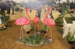 Life Size Animatronic Flamingo Realistic Silicone Bird Model 1.2m Moving Wings Head Sound for Shopping Mall Bird Park Decor
