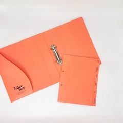 Colorful 2 Ring Binder With Paper Pocket And Customized Tabs