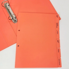 Colorful 2 Ring Binder With Paper Pocket And Customized Tabs