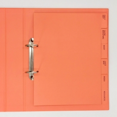 Colorful 2 Ring Binder With Paper Pocket And Customized Tabs