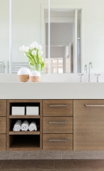 Wood grain wall mounted vanity