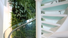 Glass staircase designs in contemporary home interiors