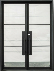 Double front entry wrought iron door with tempered glass