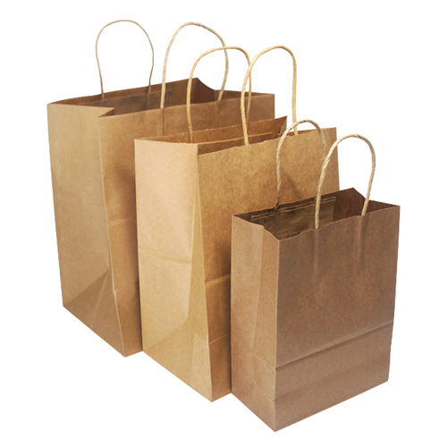 Exclusive Handbag With Customized Logo Gfit Packaging Kraft Paper Bag with Handle