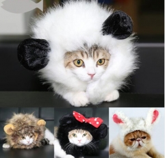 Pet Lion cosplay wig cat panda hair costume plush toy
