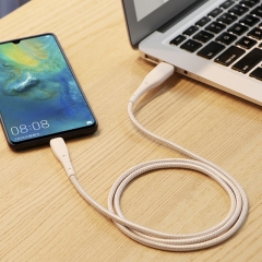 USB-C Cable