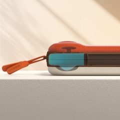 Switch Carrying Case