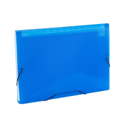 Translucent Expanding File with Elastic Closure, 13 Pockets, PP A4 ...