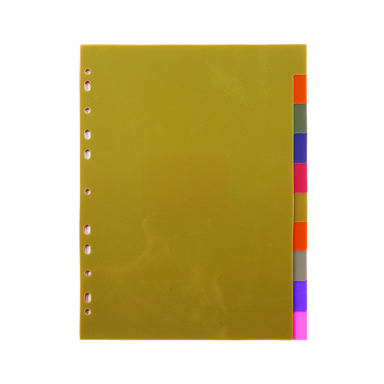 Pp Index Dividers 10 Parts Translucent A4dividers And Indices