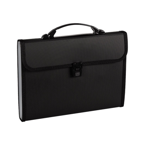 Accordion File with Handle, 13 Pocket, Opaque PP, A4, Letter, Foolscap