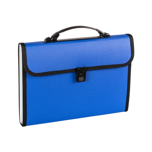 Accordion File with Handle, 13 Pocket, Opaque PP, A4, Letter, Foolscap