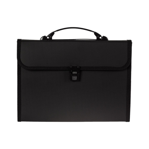 Accordion File with Handle, 13 Pocket, Opaque PP, A4, Letter, Foolscap