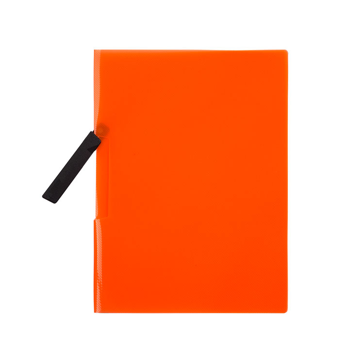 Swing Clip Files with Black Clip, Translucent, PP A4,Presentation Folders
