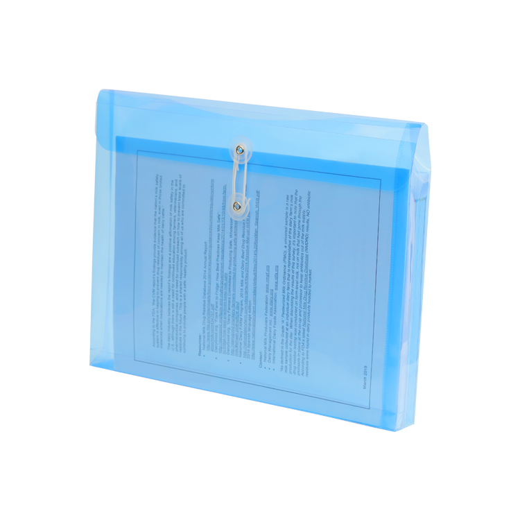 Poly String Envelope with Expandable Gusset, Translucent, PP Letter ...