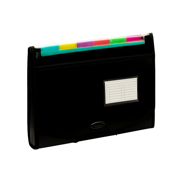 13 Pocket Expanding File with Clear Window