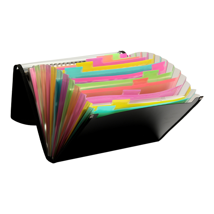 13 Pocket Expanding File with Clear Window