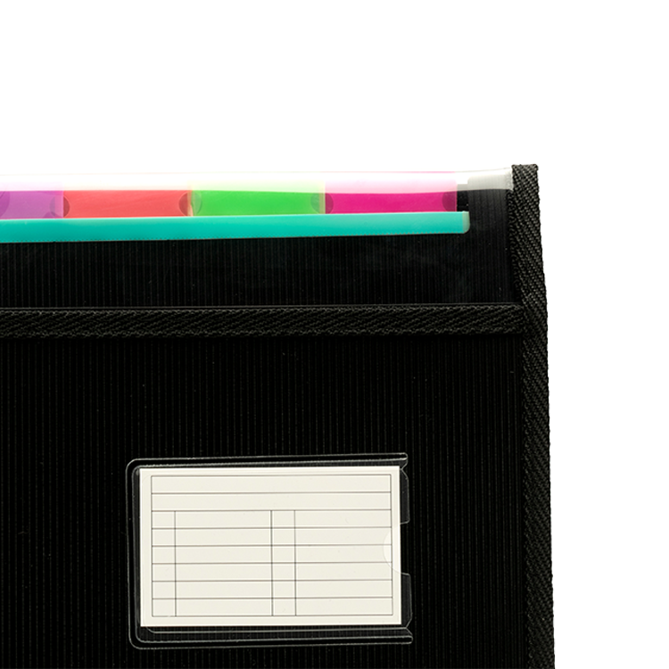 13 Pocket Expanding File with Clear Window