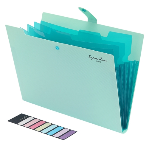 5-Pocket Expanding File Folder, Expresssions