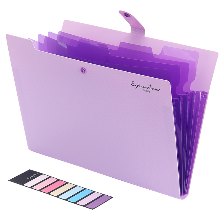 5-Pocket Expanding File Folder, Expresssions Series by Vindel.cn