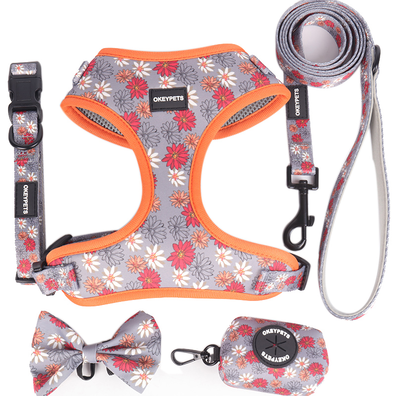 dog harness design