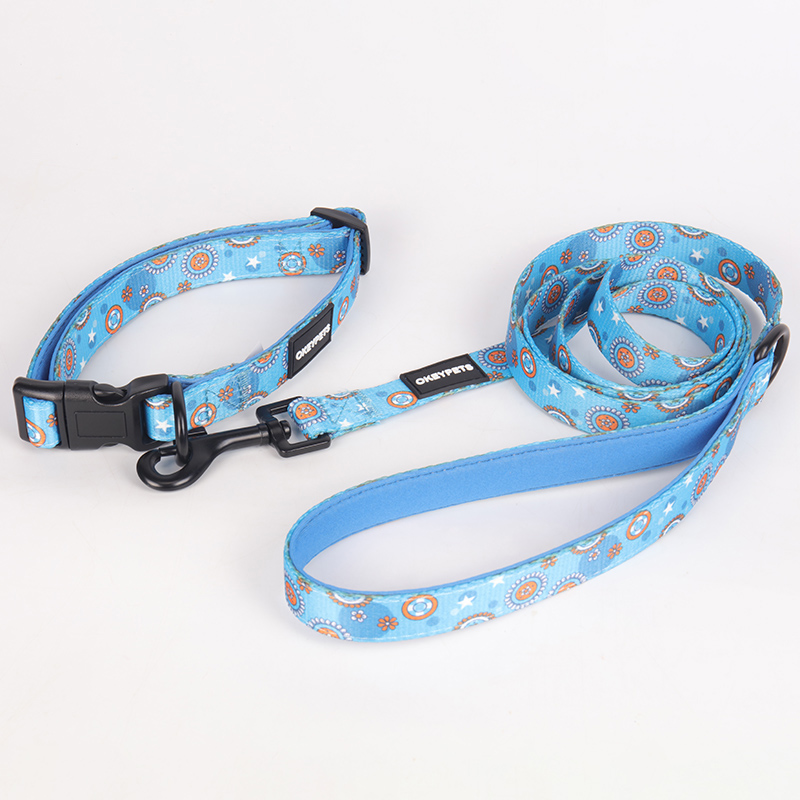 Matching dog collar lead and harness Clearance