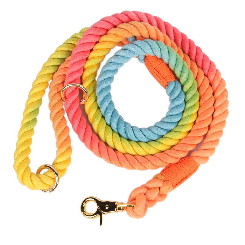 rainbow rope dog leash
