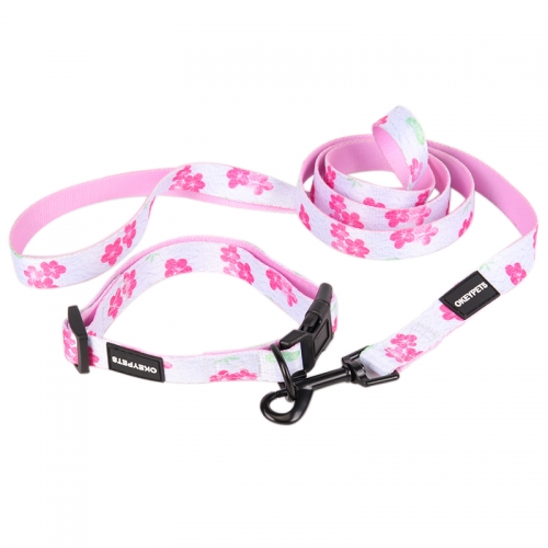 OKEYPETS Designer Pink Flower Printing White Webbing Dog Collar Leash Combo