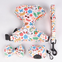 OKEYPETS OEM Harnais Chien Leash Set Breathable Mesh Colorful Cartoon Pattern Soft Vest Pet Dog Harness With Matching Lead