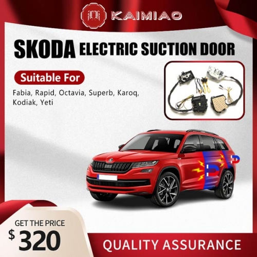 New Arrival Factory Wholesale Price Skoda Series Car Door Soft-Closer Lock