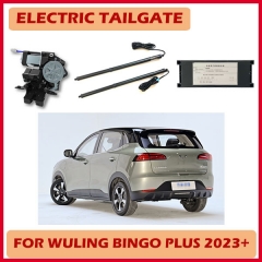 For Volkswagen Beetle smart electric tailgate door system with remote control and other mutiple function