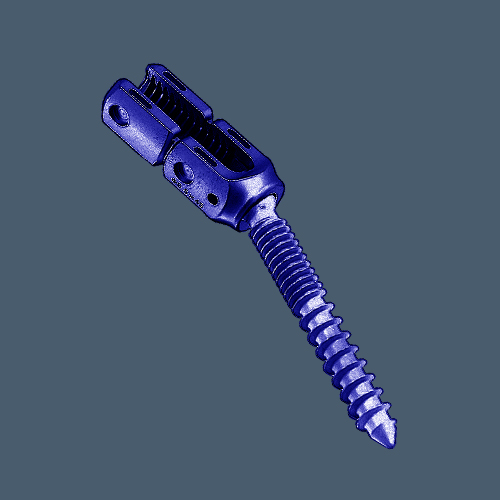 RS6 long polyaxial Pedicle Screw- Double Thread type