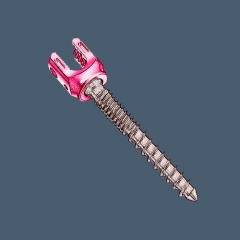 RS6 polyaxial Pedicle Screw- Double Thread type