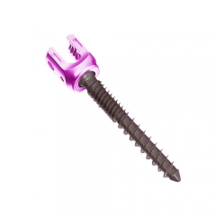 RS6 polyaxial Pedicle Screw- Double Thread type