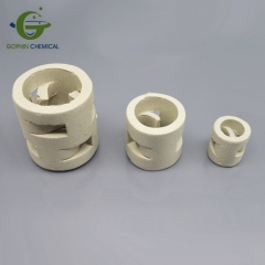 Ceramic Pall Ring