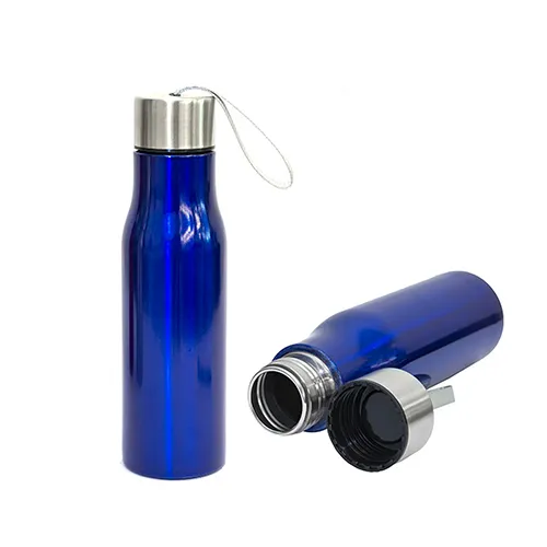 500ml Stainless Steel Water Bottle