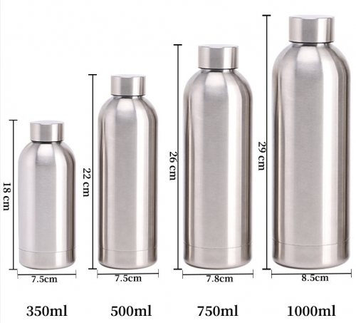 500ml Insulated Water Bottle