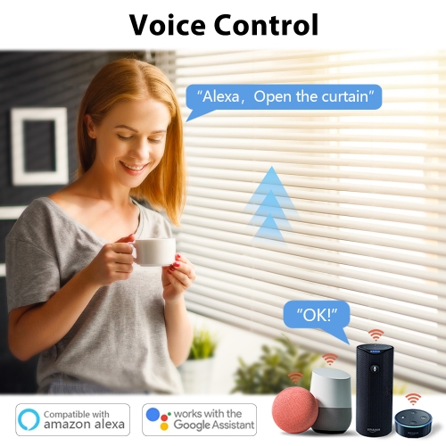 Interruptor táctil para persianas eléctricas, dispositivo con motor de  persiana enrollable inteligente Tuya, ZigBee 3,0, Control por voz de Google  y Alexa, para el hogar