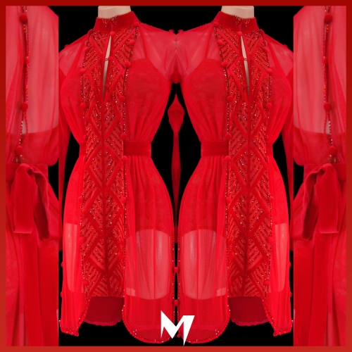 [PRE-OWNED] Red Lace Bodice and Sheer Blouse Dress #S298
