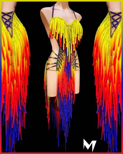 [PRE-OWNED] Multicolored Ombre Tube Fringe Dress #S357
