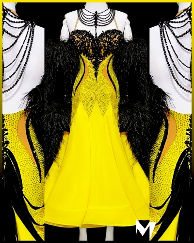 [PRE-OWNED] Black Lace Motif Yellow Ballroom (Standard) Dress with Ostrich Feathers #S375