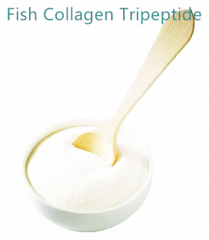 Fish Collagen Tripeptide