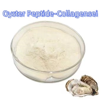 Oyster Peptide