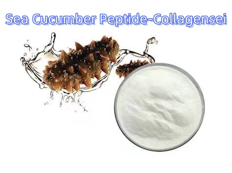 Sea Cucumber Peptide