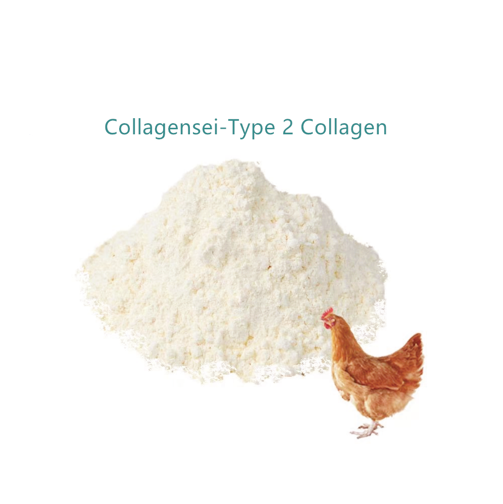 Collagen Type 2