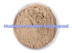 Mushroom powder containing Vitamin D2