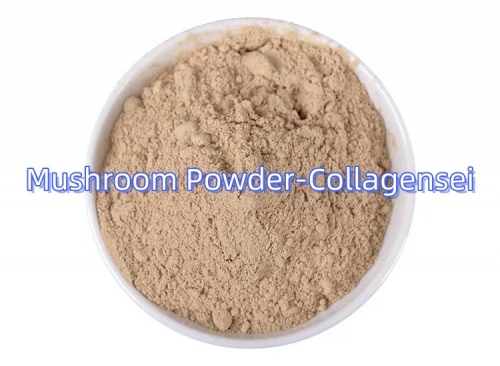 Mushroom powder containing Vitamin D2